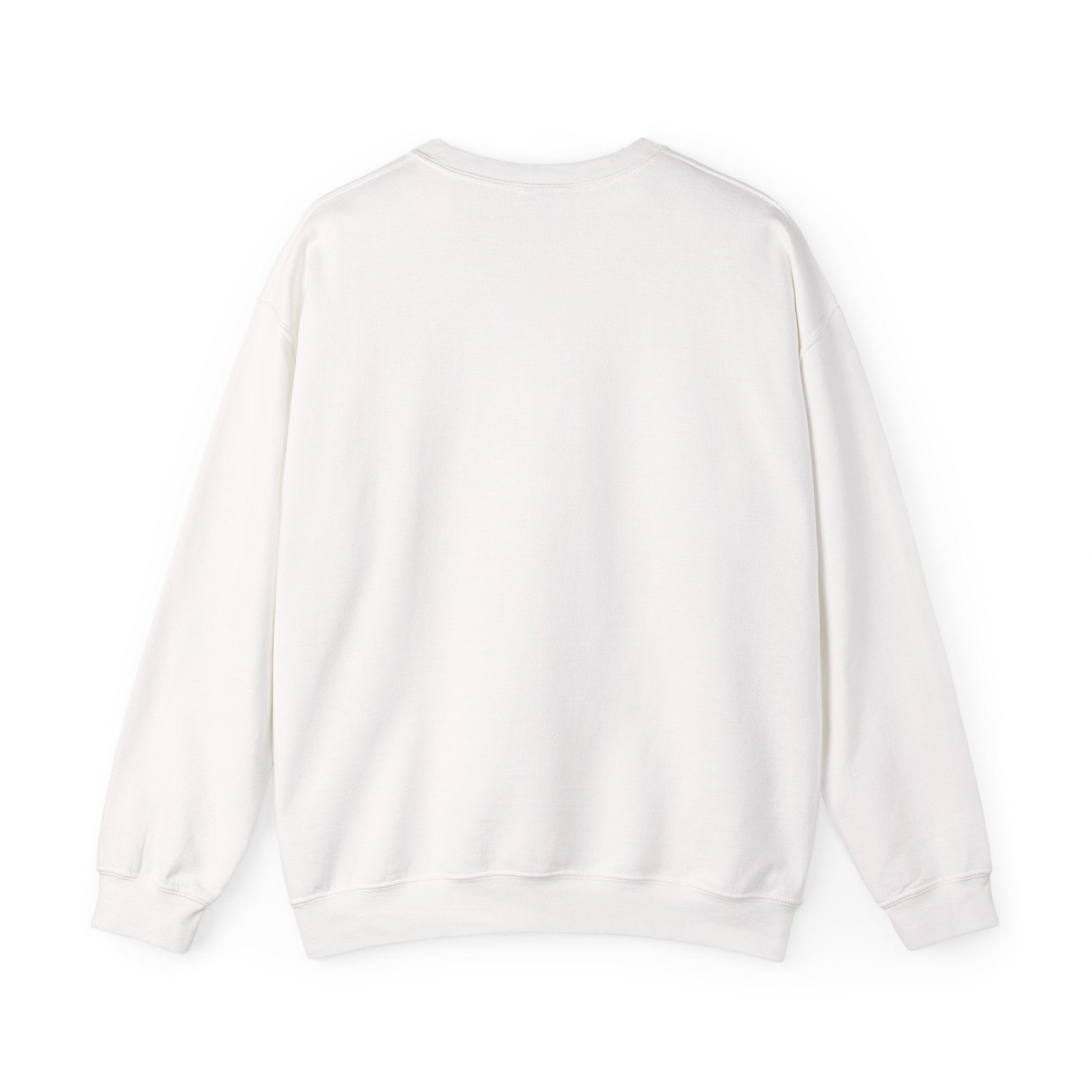 Mary Lost Jesus sweatshirt | absurdist humor, minimalist meme