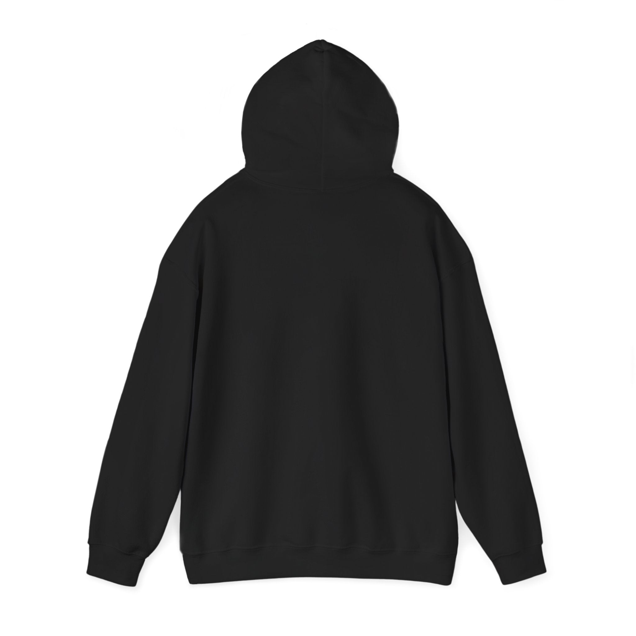 Mary Lost Jesus minimalist text Hoodie | absurdist meme, inside joke