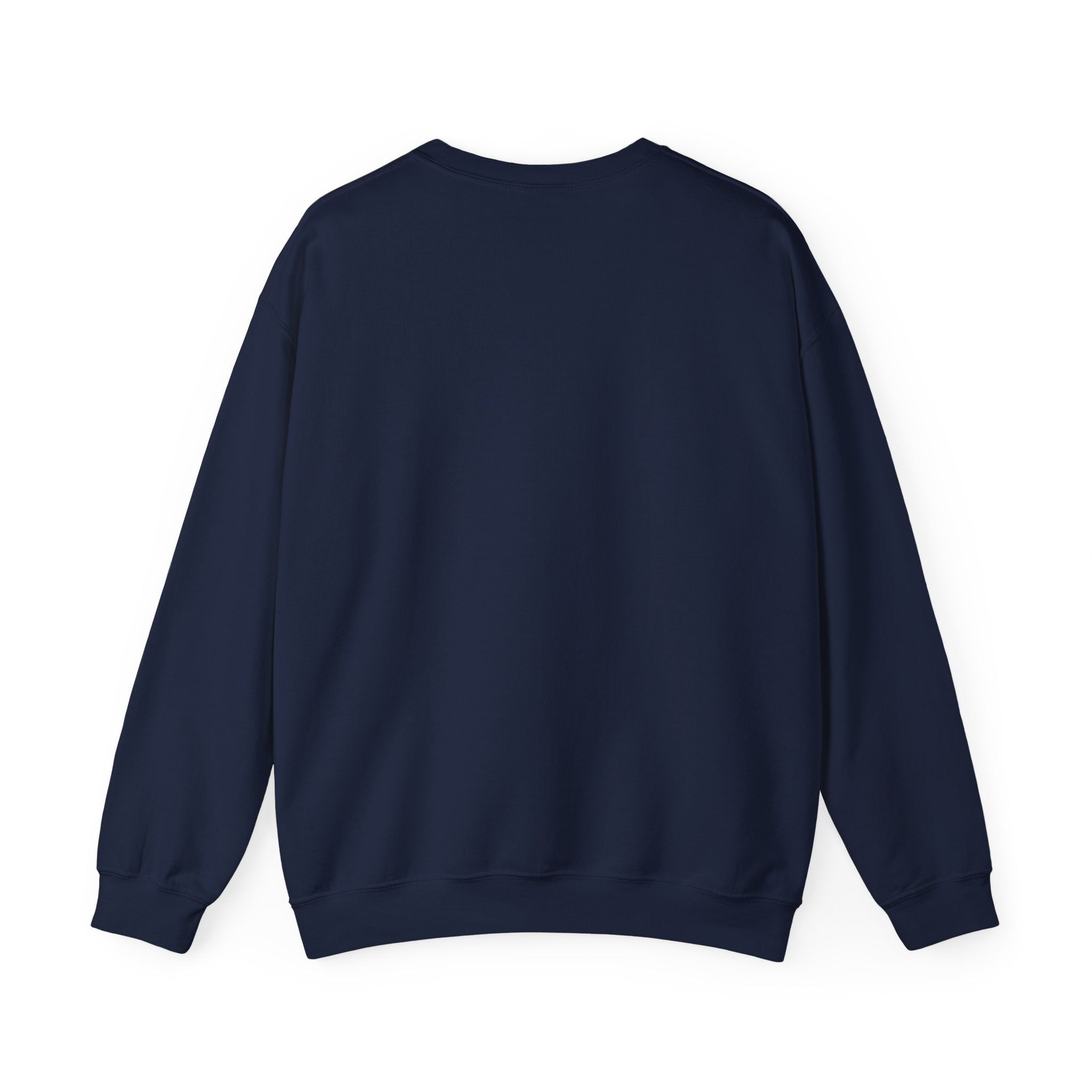 Mary Lost Jesus sweatshirt | absurdist humor, minimalist meme