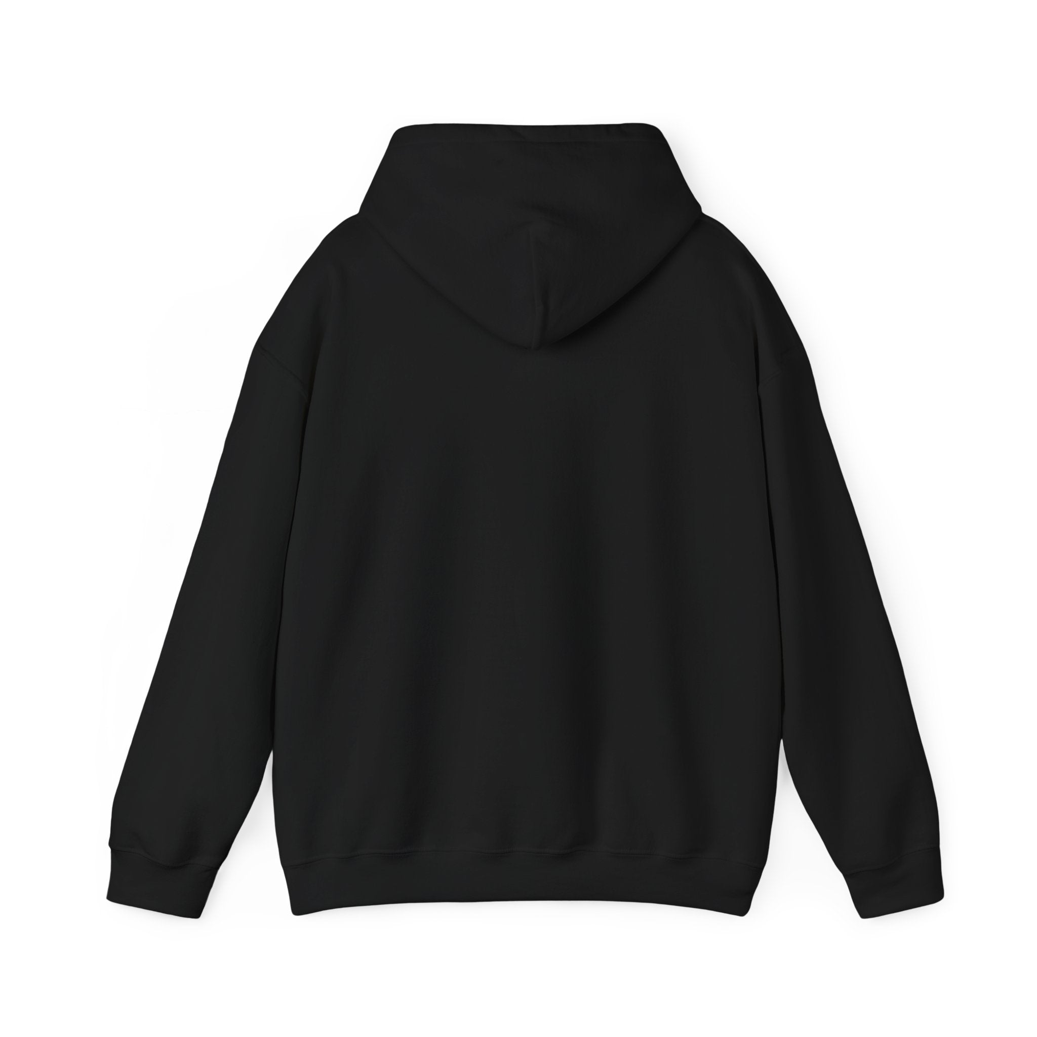 Mary Lost Jesus minimalist text Hoodie | absurdist meme, inside joke